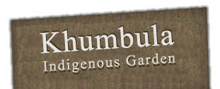 Kumbula Indigenous Nursery